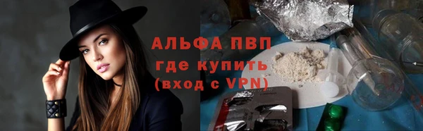 PSILOCYBIN Лиски