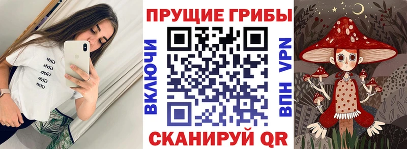 Псилоцибиновые грибы Cubensis наркотики Владикавказ